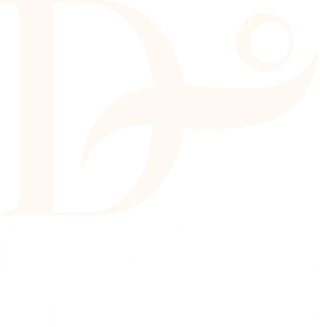 Doris Infotech | Software Development Company in Surat Doris Infotech logo - software development company in Surat, India